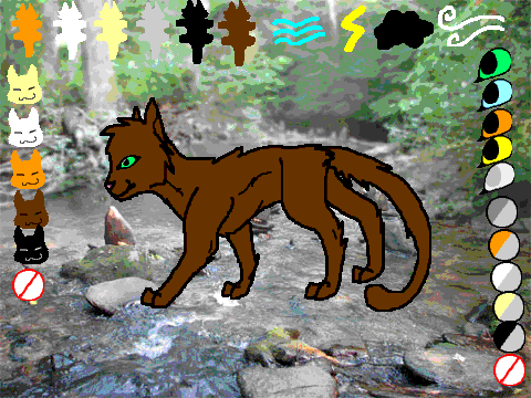 ||Warrior Cats Creator||