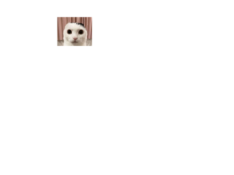 defeat monke game