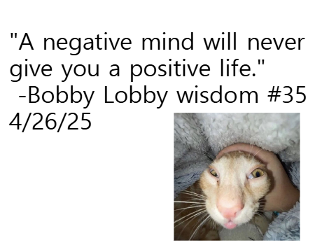 [Discontinued] Bobby Lobby Wisdom 
