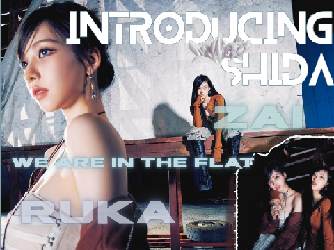 Introducing SHiDA!