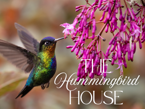 The Hummingbird House - Short Story