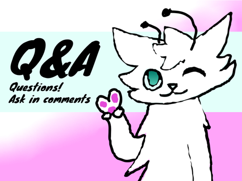 50+ FOLLOWER Q&A!!!