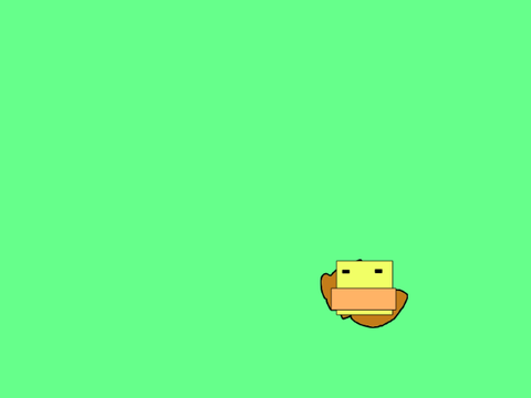 RAISE A DUCK!