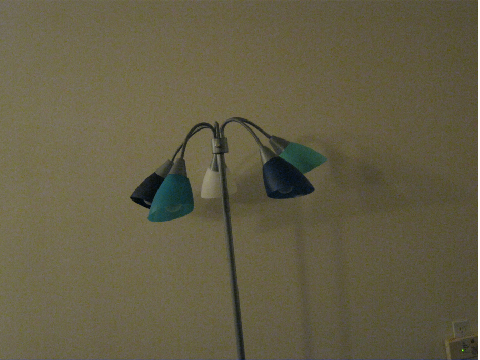 Flowering Lamp (Stop Motion)