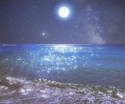 *ੈ✩‧₊˚☽Pearlescent memories☾°⋆༄ؘ