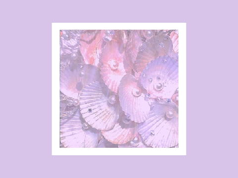 ꕤ sailor song ₊˚⊹ akoya application