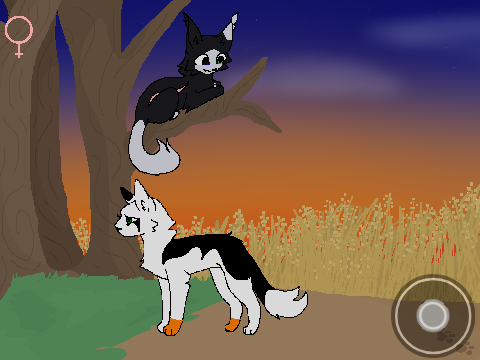 - Path of a Medicine Cat - Warrior Cats Game -(MOBILE VERSION)
