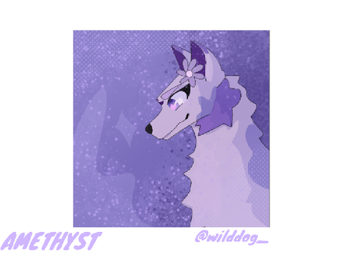 stars DTA 9+ Amethyst entry!!