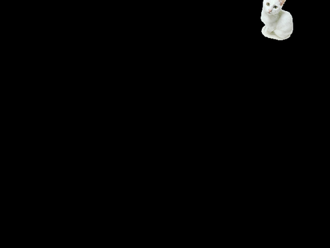 meow