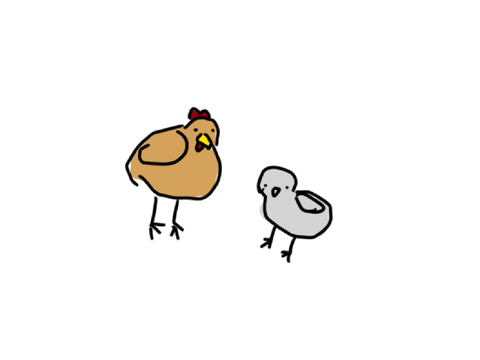 Berd