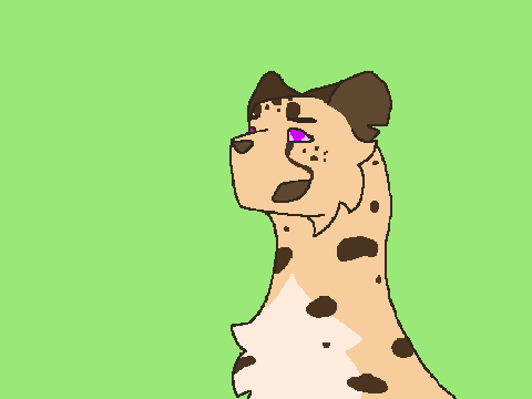 Small Hiatus