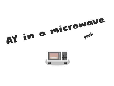 AY in a microwave (9)