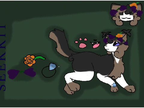 Seekserenity's Hideout