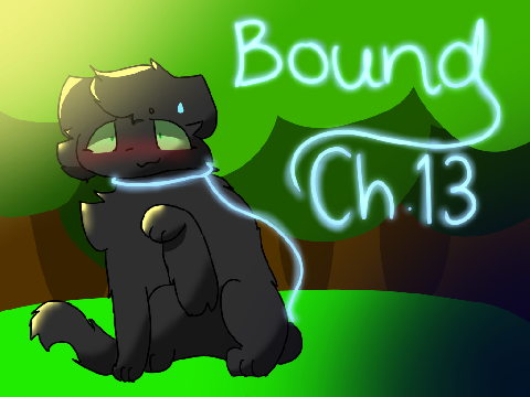 TNE BOUND CH.13