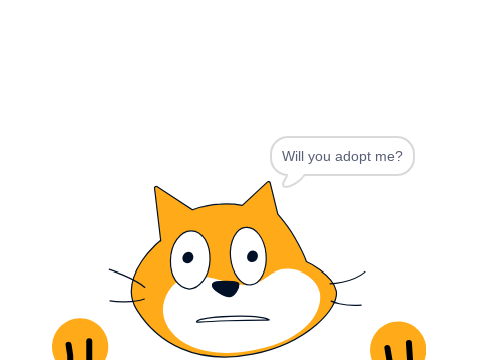 Adopt this Cat