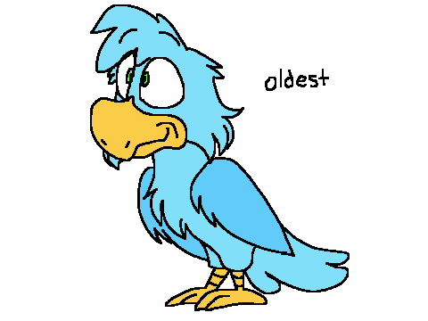 the cloudwing color evolution