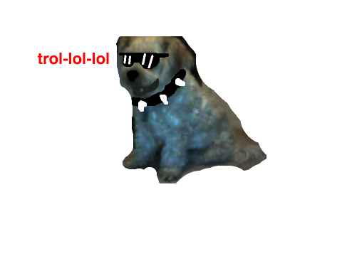 what did i do to my dog