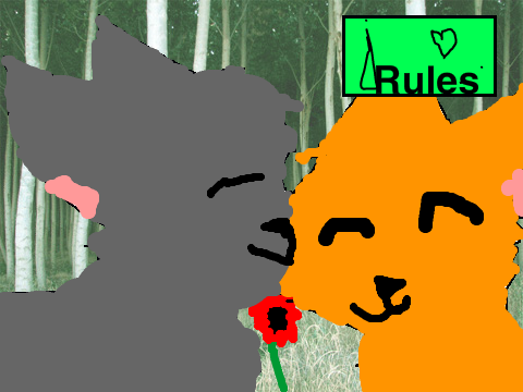 NEW Warrior fan cats couple contest! ENDS AUGUST 2nd!