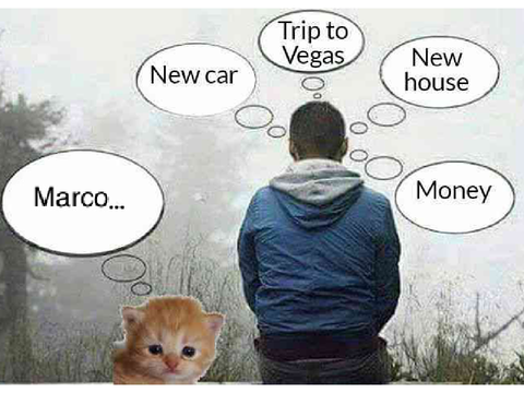 Marco alert