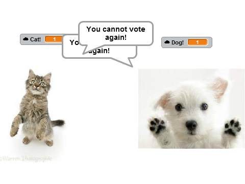 Cat or Dog?