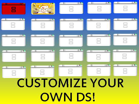 Customize Your Own DS! - REMIX!
