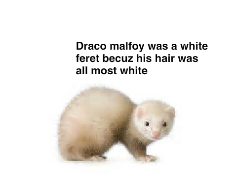 HP fact #1