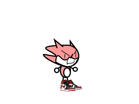 1st version sonc