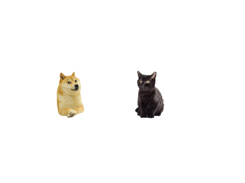 Doge