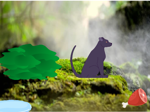 Virtual Pet : Panther