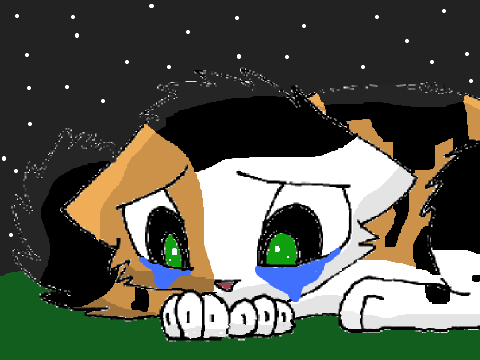 Somebody That I Used to Know CC ~ENTRY~