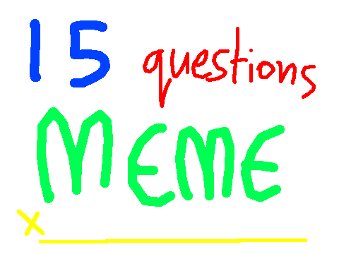 15 Questions Meme remix