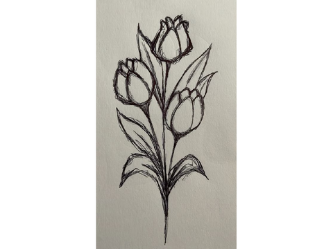 Drawing Contest (Closed) Results