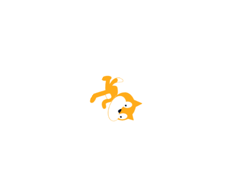 spinny cat :0