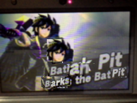 Batman Pit Barks the Bat Pit