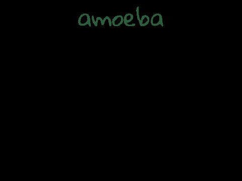 Amoeba - A Simulation