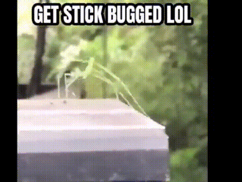 Awesome Project (Not a Joke) #All