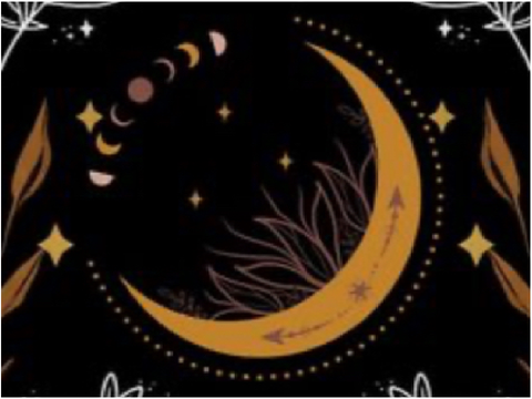 ‧͙⁺˚*･ Harmonytail’s grave ༓☾