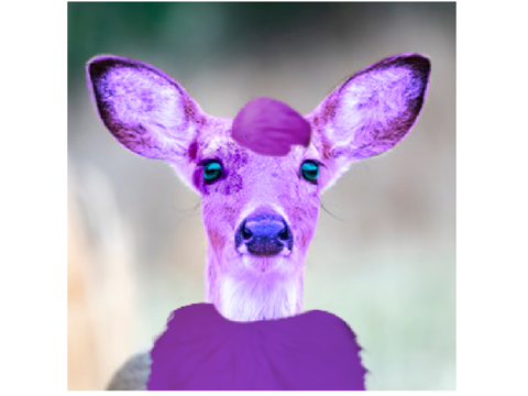 hey