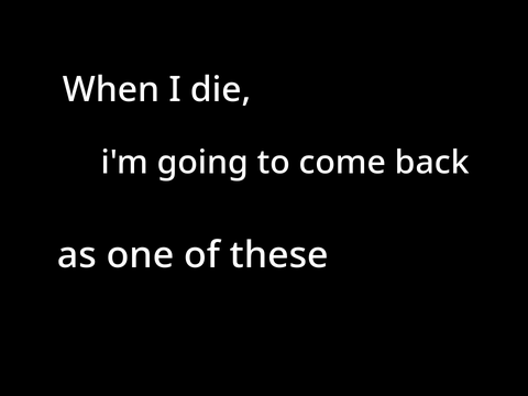 I'm going to come back as one of these…