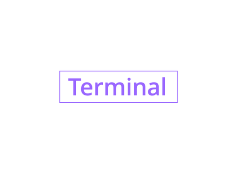 Terminal