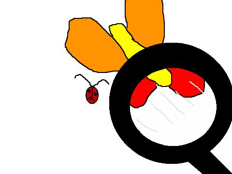Magnifying glass