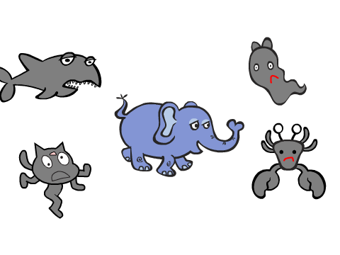 elephant