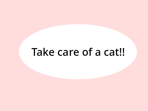 Take care of a cat