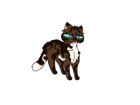 Hawkfrost?