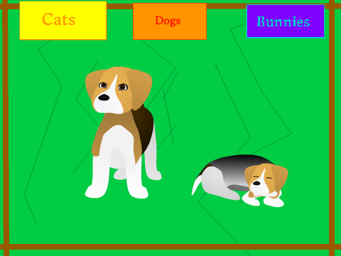 Adopt an animal!