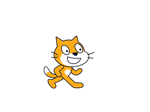 Spinning cat