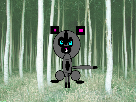 Shadekit in the forest!