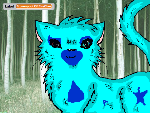 Create a HawkClan or FireClan cat!