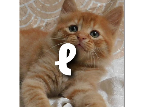 ~