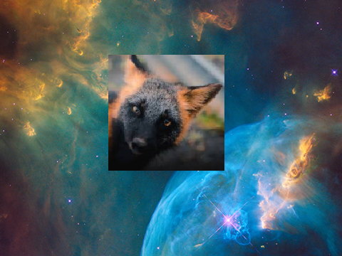foxxo has a question